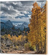Fall In The Eastern Sierra Wood Print
