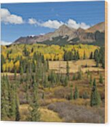 Fall Meadow Rocky Mountains Colorado Wood Print