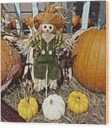 Fall Pumpkin Scarecrow Wood Print