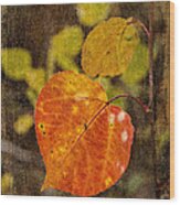 Fall Quaking Aspen Wood Print