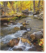 Fall Rush At Mcgee Creek Wood Print
