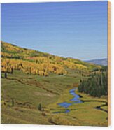 Fall Season In Flat Tops Recreation Area Wood Print