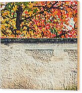 Fall Tree With Wall Wood Print