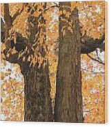 Fall Trees Wood Print