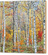 Fall Trees, Shinhodaka, Gifu, Japan Wood Print
