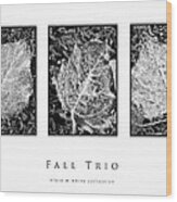 Fall Trio Black And White Collection Wood Print