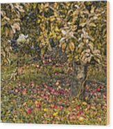 Fallen Apples Wood Print