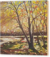 Falling Leaves Wood Print