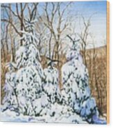 Family Of Four Trailside At 7 Springs Wood Print