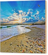 Fantasy Art-birds Flying Into Sunset Over Shell Covered Beach Wood Print