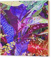 Fantasy Colored Leaf Abstract Wood Print