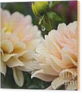 Fantasy Dahlias Wood Print