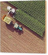 Farm Machines Harvesting Corn For Feed Or Ethanol Wood Print