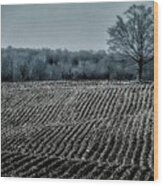 Farmfield Furrows Wood Print