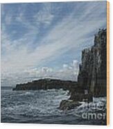 Farne Island Cliffs 2 England Wood Print