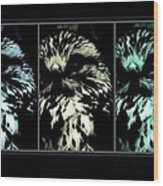 Feathered Wood Print