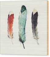 Feathers Wood Print