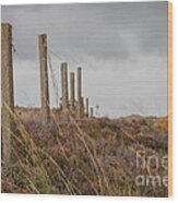 Fence In The Storm In Norway Wood Print