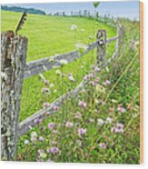 Fence Post Wood Print