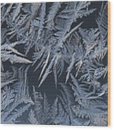 Fern Frost Blooming On A Window Wood Print