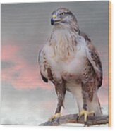 Ferruginous Hawk At Dusk Wood Print