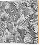Fiddlehead Ferns Wood Print