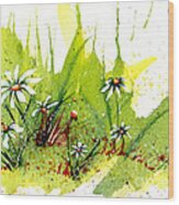 Field Of Daisies Wood Print