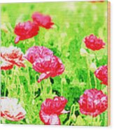 Field Of Painterly Red And Orange Poppies Wood Print