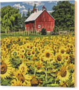 Field Of Sunflowers Wood Print