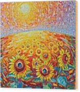 Fields Of Gold - Abstract Landscape With Sunflowers In Sunrise Wood Print