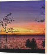 Finger Lakes Purple Sunset Wood Print