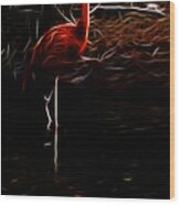 Fire Flamingo Wood Print