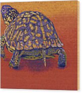 Fire Walker - Box Turtle Wood Print