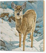 First Winter  - Fawn Wood Print