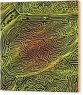 Fish Scale Wood Print