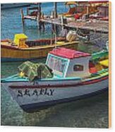 Fishing Boats Aruba Wood Print