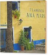 Flamenco Bar In Marbella Wood Print