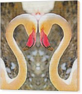 Flamingo Double Vision #1 Wood Print