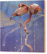 Flamingo Fantasy Lights Wood Print
