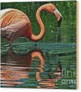 Flamingo Wood Print