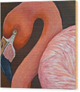Flamingo Pretty In Pink Wood Print