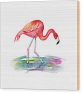 Flamingo Step Wood Print