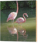 Flamingo Stroll Wood Print