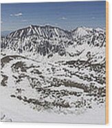 Fletcher Mountain Summit Panorama Wood Print