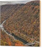 Flooded With Fall Colors At New River Wood Print