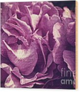 Floribunda Purple Roses With Scratched Metal Texture Wood Print