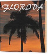 Florida State Royal Palm 1 Wood Print