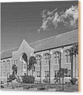 Florida State University Johnston Building Wood Print