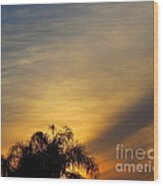 Florida Sunset Lll. Wood Print