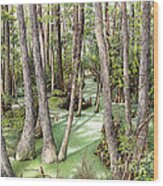 Florida Swamp Wood Print